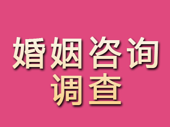 六安婚姻咨询调查